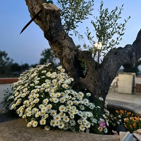 Pesci Villa *